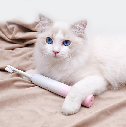 electric toothbrush