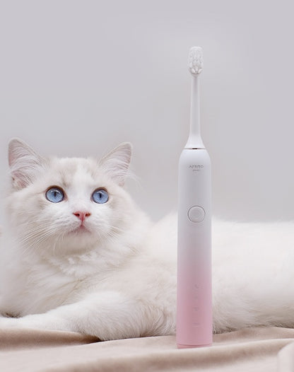 electric toothbrush