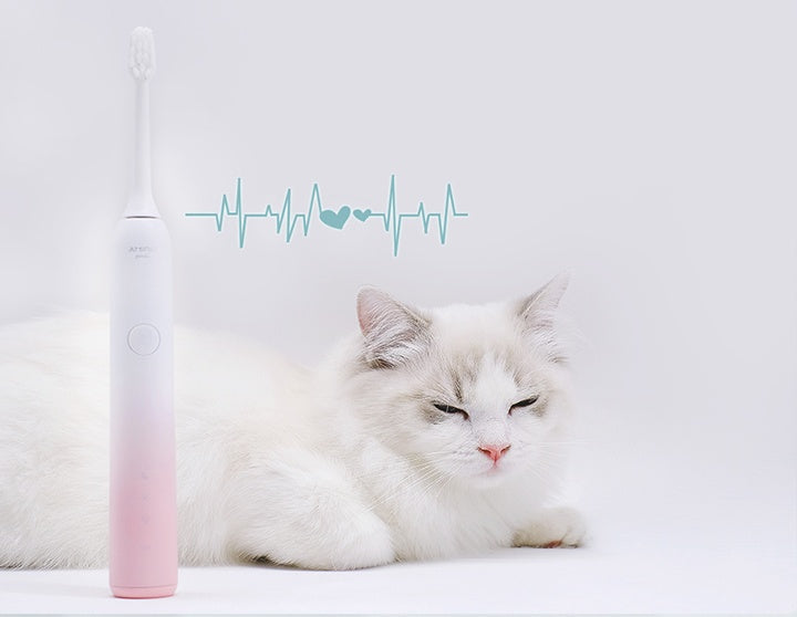 electric toothbrush
